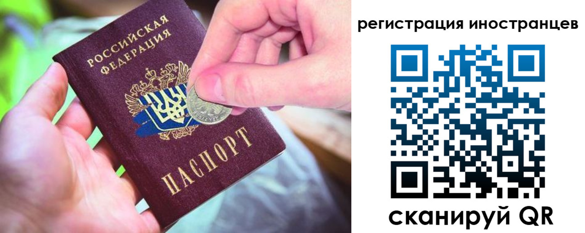 прописка для работы в Балтийске